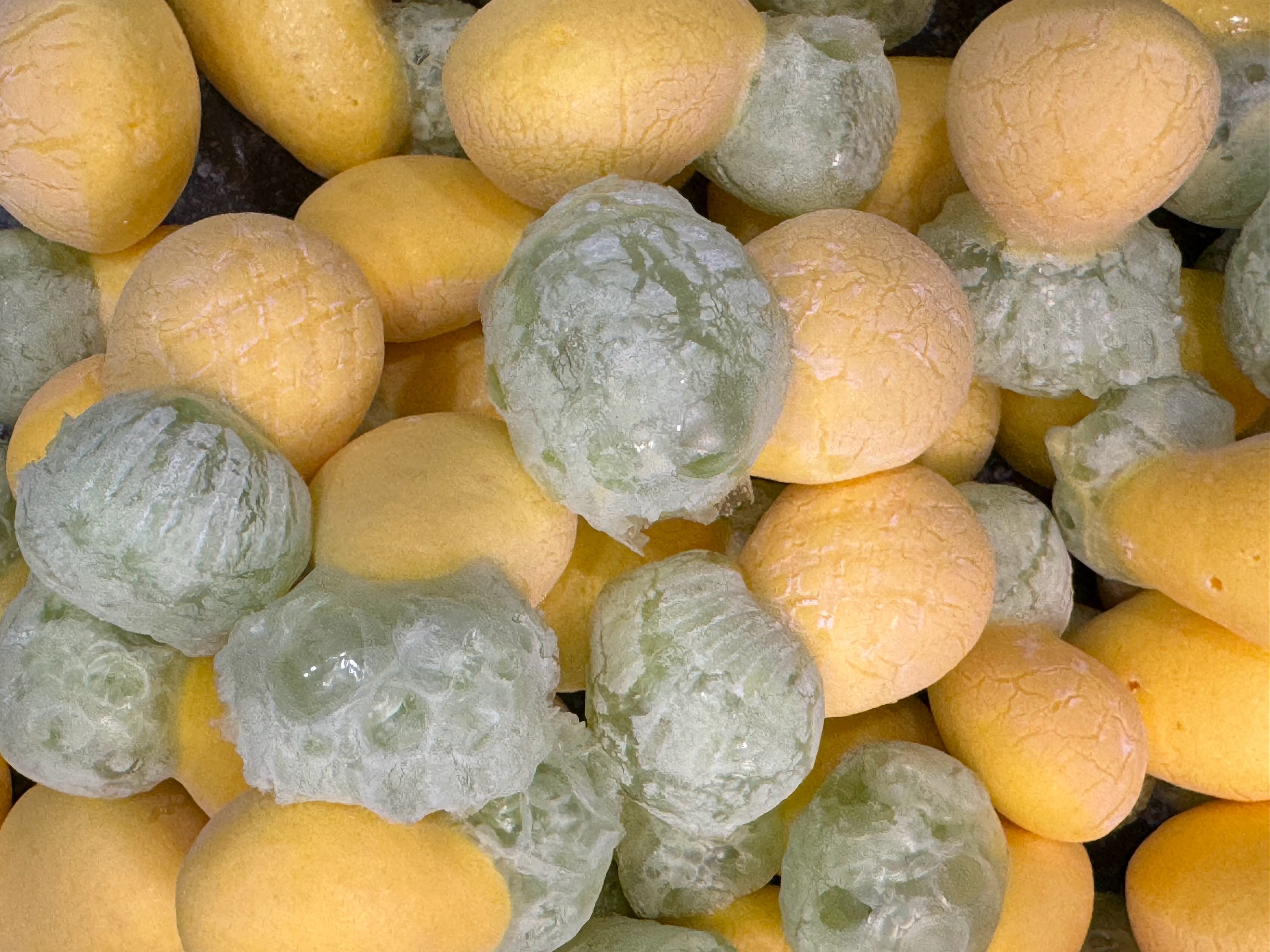 Freeze-Dried Candy