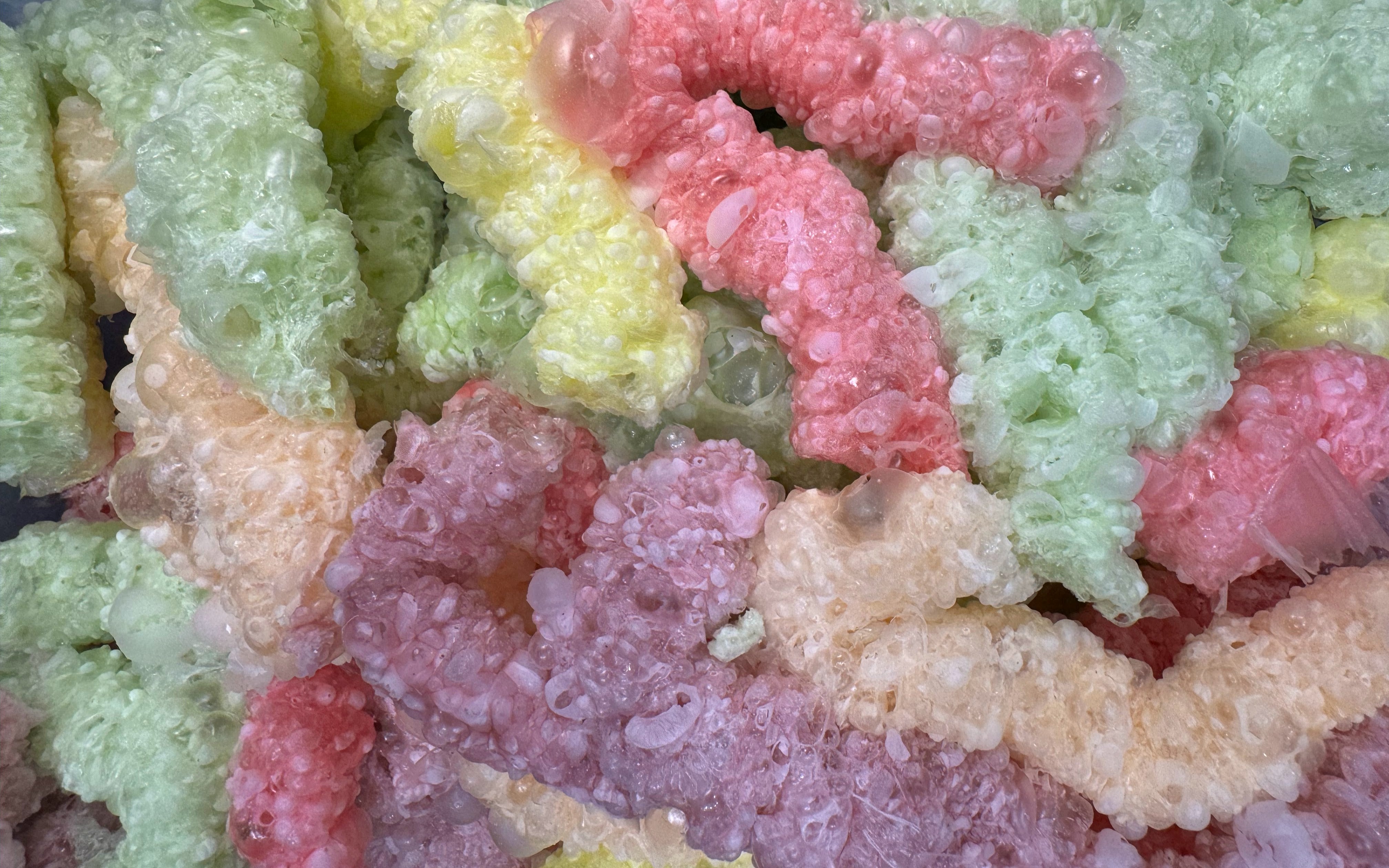 Freeze-Dried Candy